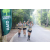 Team 16 / Raid l'Arbre Vert - Trek 17 km