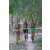 Team 12 / Raid l'Arbre Vert - Trek 17 km