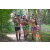 Team 12 / Raid l'Arbre Vert - Trek 17 km