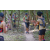 Team 26 / Raid l'Arbre Vert - Trek 17 km