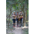 Team 13 / Raid l'Arbre Vert - Trek 17 km