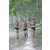 Team 19 / Raid l'Arbre Vert - Trek 17 km