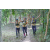 Team 81 / Raid l'Arbre Vert - Trek 17 km