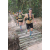 Team 53 / Raid l'Arbre Vert - Trek 17 km