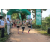 Team 06 / Raid l'Arbre Vert - Trek 17 km