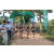 Team 09 / Raid l'Arbre Vert - Trek 17 km