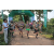 Team 12 / Raid l'Arbre Vert - Trek 17 km
