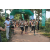 Team 13 / Raid l'Arbre Vert - Trek 17 km