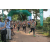 Team 14 / Raid l'Arbre Vert - Trek 17 km
