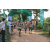 Team 15 / Raid l'Arbre Vert - Trek 17 km
