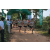 Team 16 / Raid l'Arbre Vert - Trek 17 km