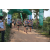 Team 19 / Raid l'Arbre Vert - Trek 17 km