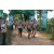 Team 20 / Raid l'Arbre Vert - Trek 17 km
