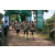 Team 22 / Raid l'Arbre Vert - Trek 17 km