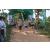 Team 29 / Raid l'Arbre Vert - Trek 17 km