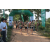 Team 30 / Raid l'Arbre Vert - Trek 17 km