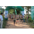 Team 31 / Raid l'Arbre Vert - Trek 17 km