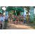 Team 33 / Raid l'Arbre Vert - Trek 17 km