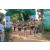 Team 38 / Raid l'Arbre Vert - Trek 17 km