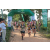 Team 39 / Raid l'Arbre Vert - Trek 17 km