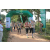 Team 41 / Raid l'Arbre Vert - Trek 17 km