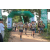 Team 43 / Raid l'Arbre Vert - Trek 17 km