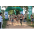 Team 44 / Raid l'Arbre Vert - Trek 17 km