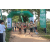Team 45 / Raid l'Arbre Vert - Trek 17 km