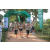 Team 46 / Raid l'Arbre Vert - Trek 17 km
