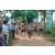 Team 49 / Raid l'Arbre Vert - Trek 17 km