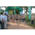 Team 53 / Raid l'Arbre Vert - Trek 17 km