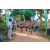 Team 54 / Raid l'Arbre Vert - Trek 17 km