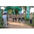 Team 58 / Raid l'Arbre Vert - Trek 17 km