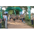 Team 61 / Raid l'Arbre Vert - Trek 17 km