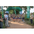Team 63 / Raid l'Arbre Vert - Trek 17 km