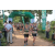 Team 65 / Raid l'Arbre Vert - Trek 17 km