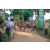 Team 67 / Raid l'Arbre Vert - Trek 17 km