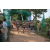 Team 77 / Raid l'Arbre Vert - Trek 17 km
