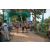 Team 79 / Raid l'Arbre Vert - Trek 17 km