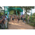 Team 80 / Raid l'Arbre Vert - Trek 17 km