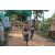 Team 81 / Raid l'Arbre Vert - Trek 17 km