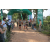 Team 85 / Raid l'Arbre Vert - Trek 17 km