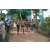 Team 86 / Raid l'Arbre Vert - Trek 17 km
