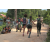 Raid l'Arbre Vert - Trek 17 km