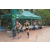 Raid l'Arbre Vert - Trek 17 km