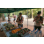 Raid l'Arbre Vert - Trek 17 km