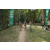 Team 12 / Raid l'Arbre Vert - Trek 17 km