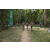 Team 07 / Raid l'Arbre Vert - Trek 17 km