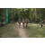 Team 10 / Raid l'Arbre Vert - Trek 17 km