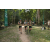 Team 10 / Raid l'Arbre Vert - Trek 17 km